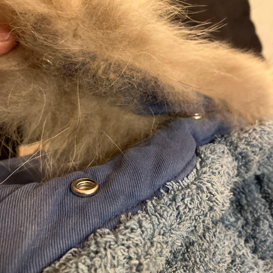 UNDERCOVERISM ブルーモッズコート