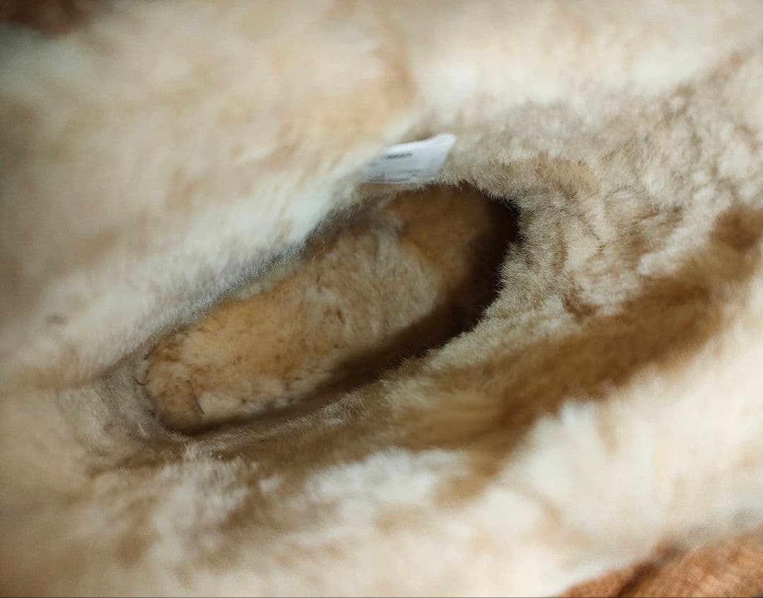 靴 EMU Australia stinger mini chestnut 24cm