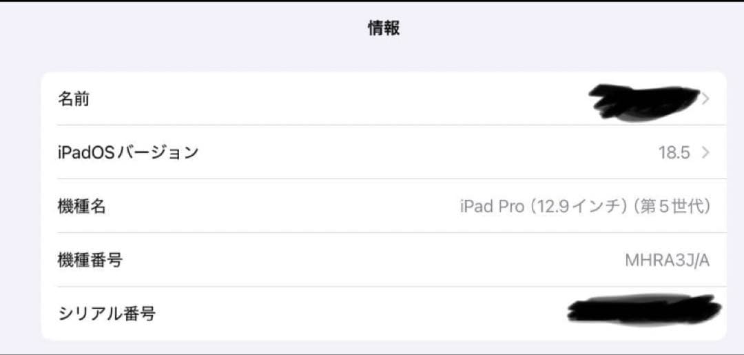 iPad pro M1 12.9インチ 1TB Apple Pencilとケース