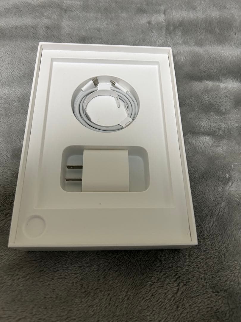 iPad mini(第6世代)256GB Wi-Fiモデル　スペースグレイ