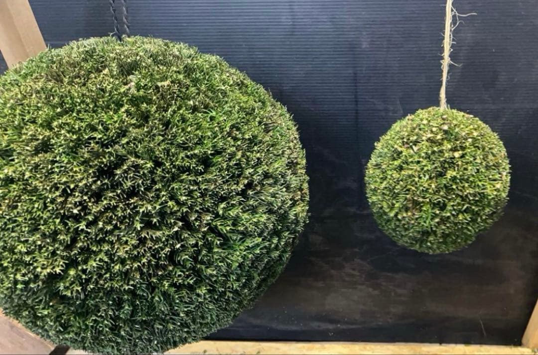 杉玉　約35センチ×2個‼️お客様ご注文品♪