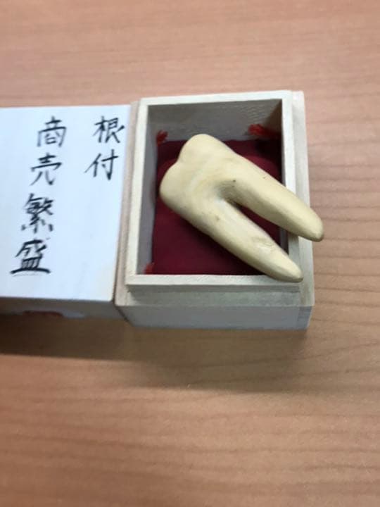 根付サンプル　虫歯　銘:貞道