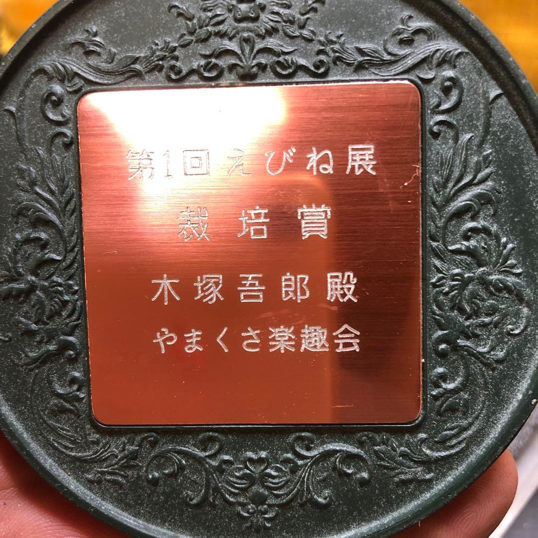 メダル色々6個まとめて