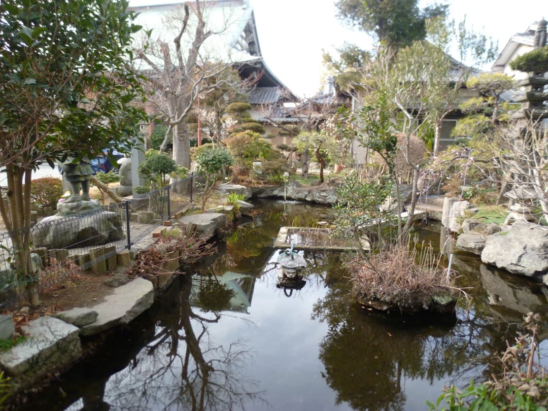 実写良⭕️【動作確認済】LUMIX Panasonic DMC-FX70