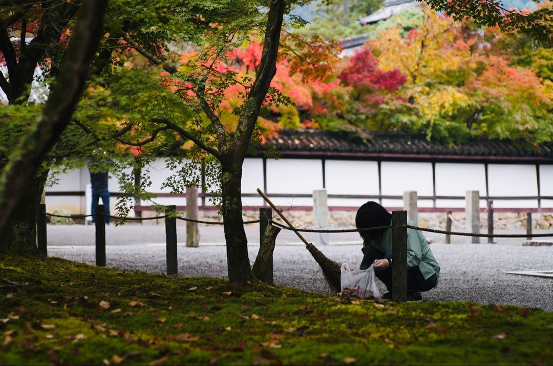 【良品】Leica テレエルマリート 90mm F2.8 (後期)