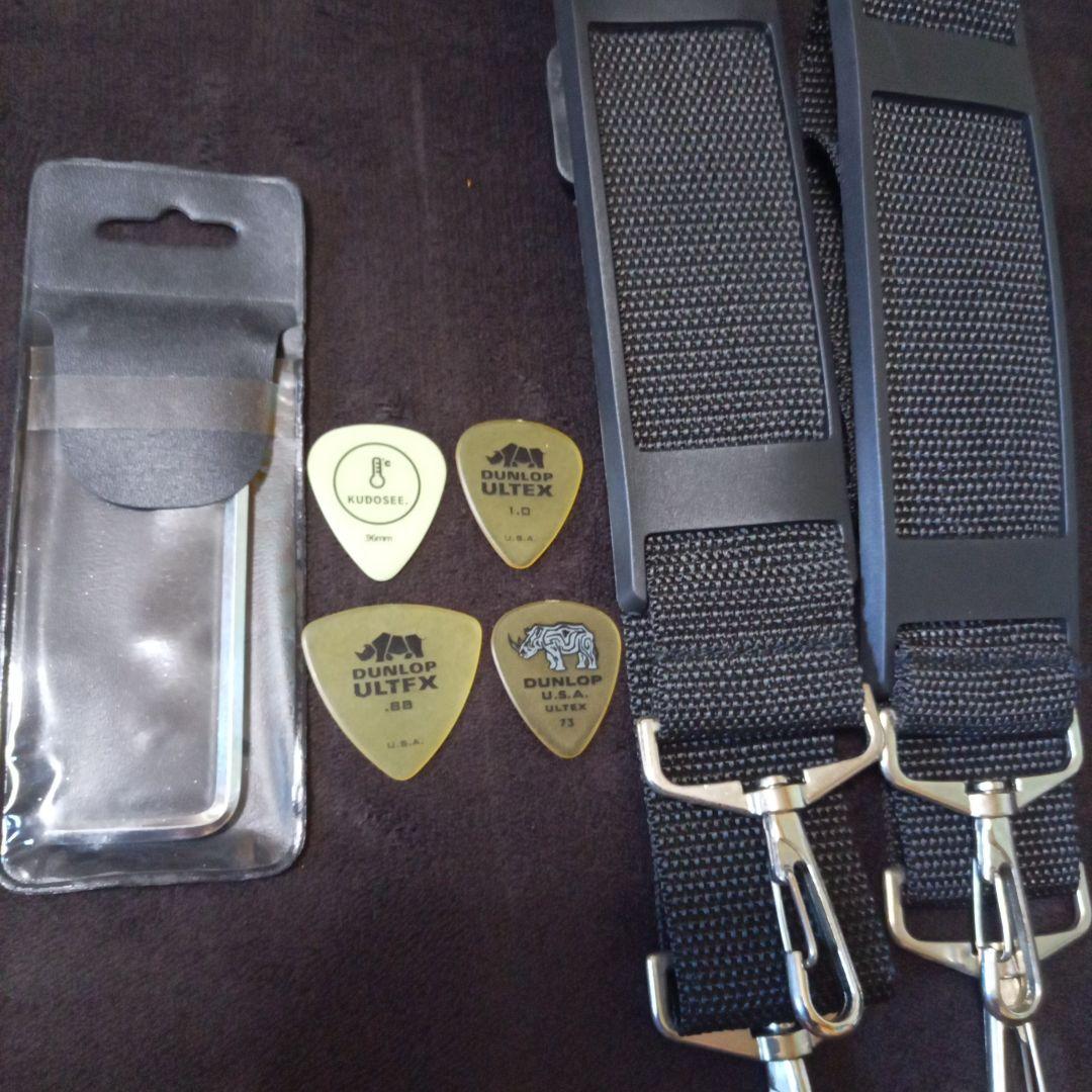 トラベラー アコースティックギターREDLANDS エレアコ仕様