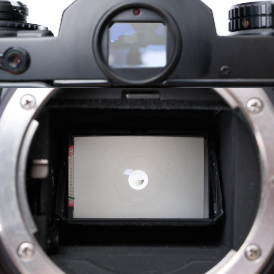 綺麗 Nikon FE / Ai Nikkor 50mm F1.4