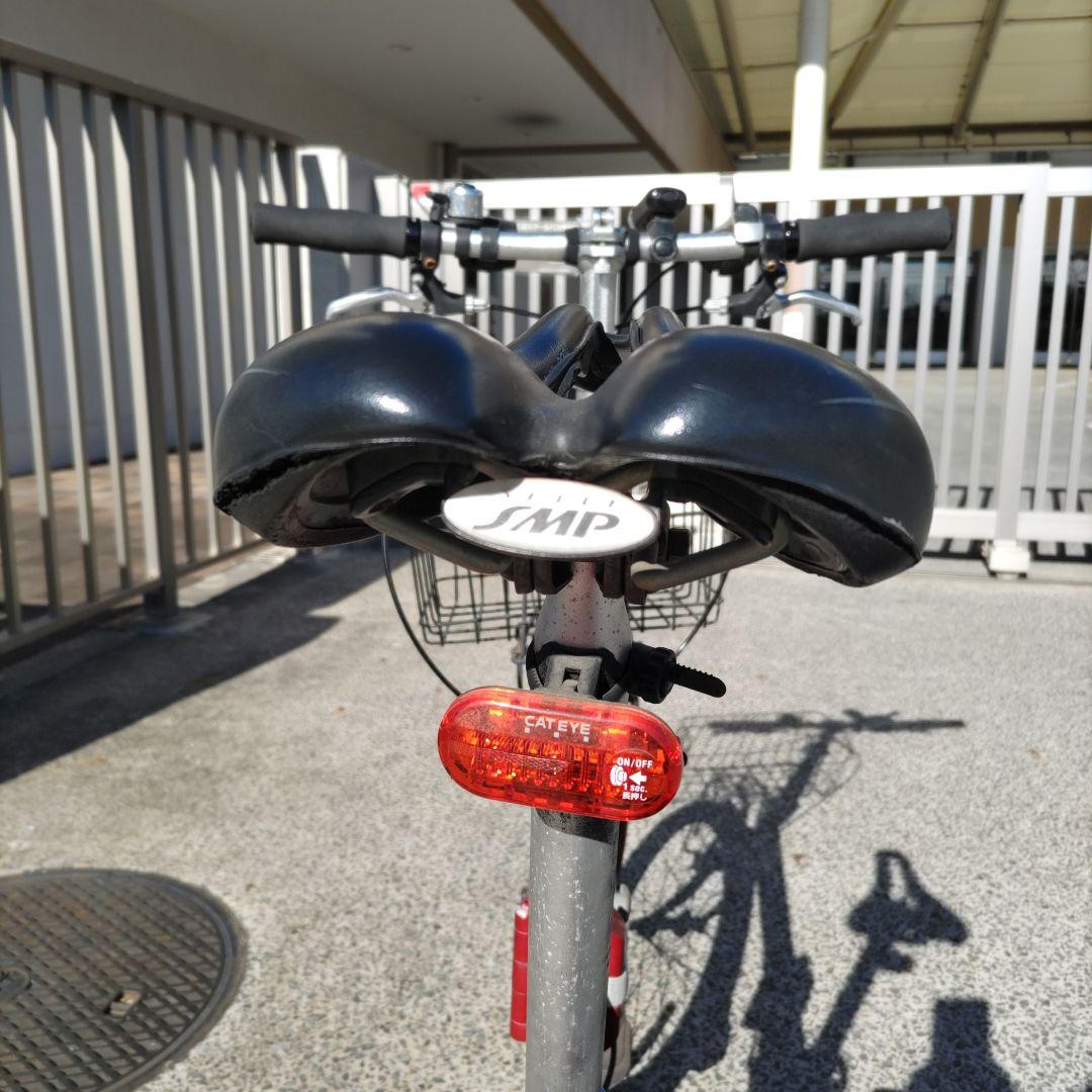 【お引取り専用】DAHON route　ダホン　ルート　20インチ　レッド