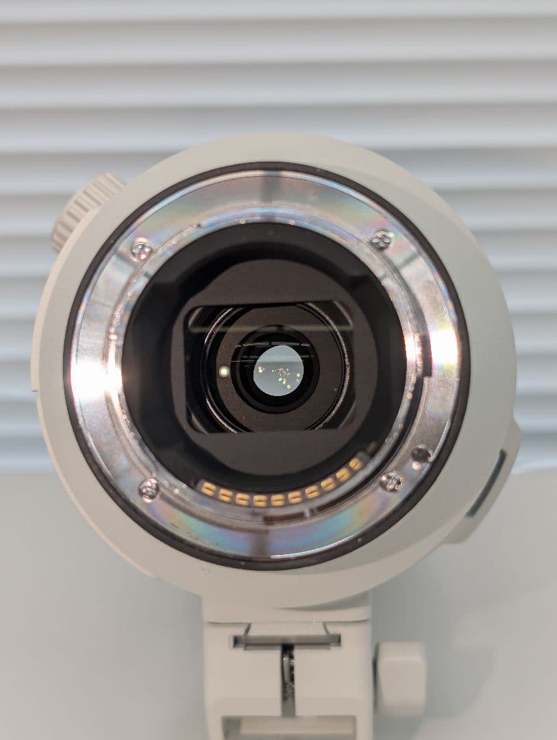 SONY Gレンズ SEL200600G 望遠ズームレンズ