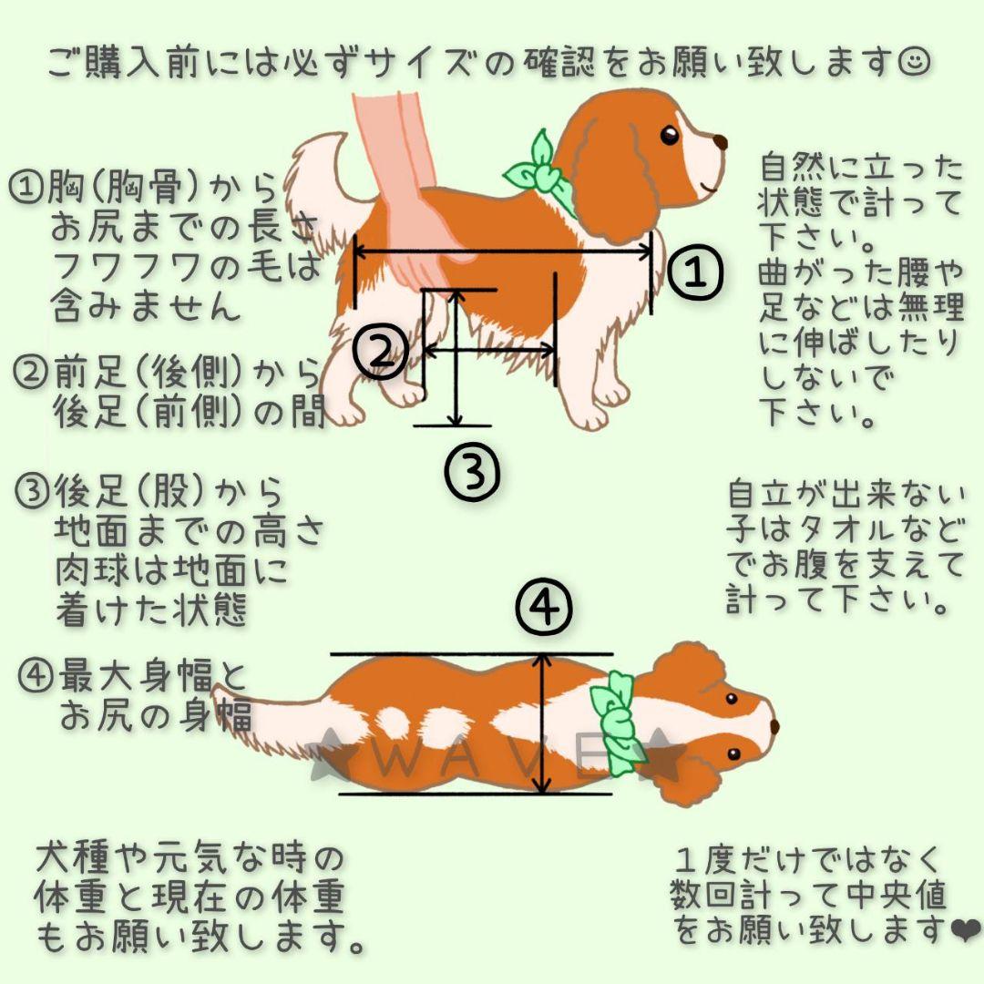 北の國　犬用車椅子　犬の歩行器　歩行補助　犬の車いす　歩行サポート