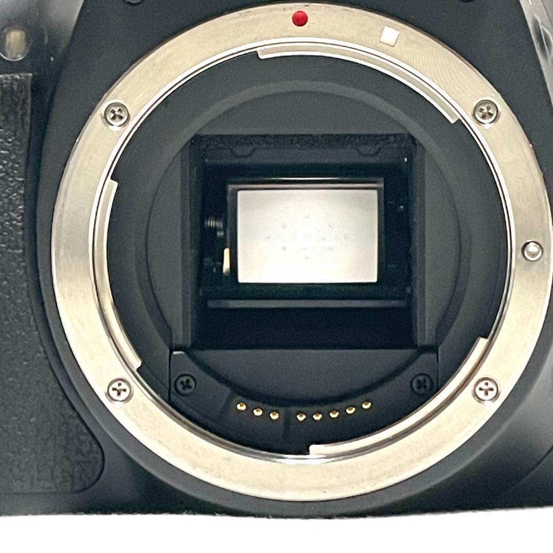 高速AFでとらえる✨ Canon EOS Kiss X4 超望遠レンズセット