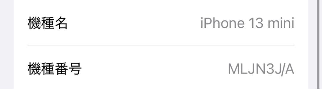 iPhone13 mini 256GB ブルー　純正ケース付