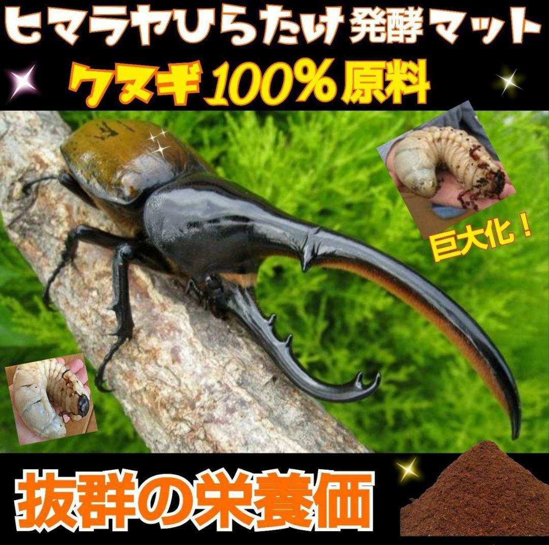 カブトムシ幼虫が大きくなる！栄養たっぷり！発酵マット【6袋】雑虫が湧きません！
