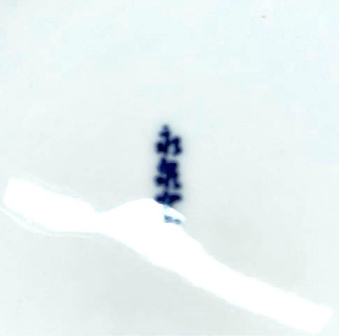 【昭和レトロ】ナルミ&佐藤製薬コラボ ボーンチャイナ ディナー皿他5枚セット