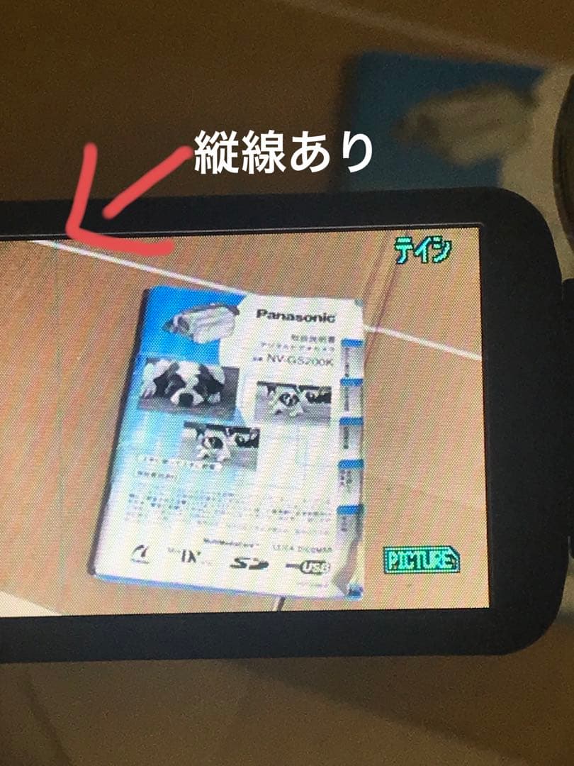 Panasonic NV-GS200 ビデオカメラ 本体 付属品完備