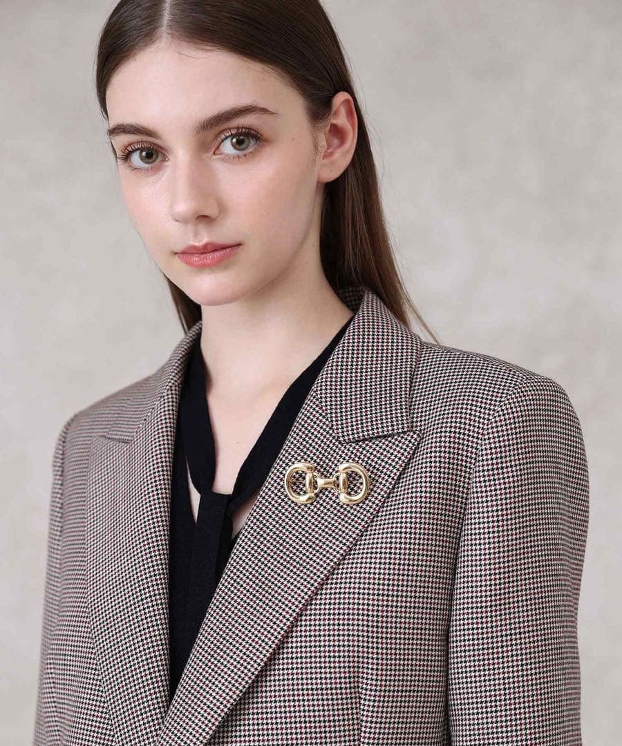 【新品未使用】ANAYI ホースビットビジューブローチ　完売　アナイ