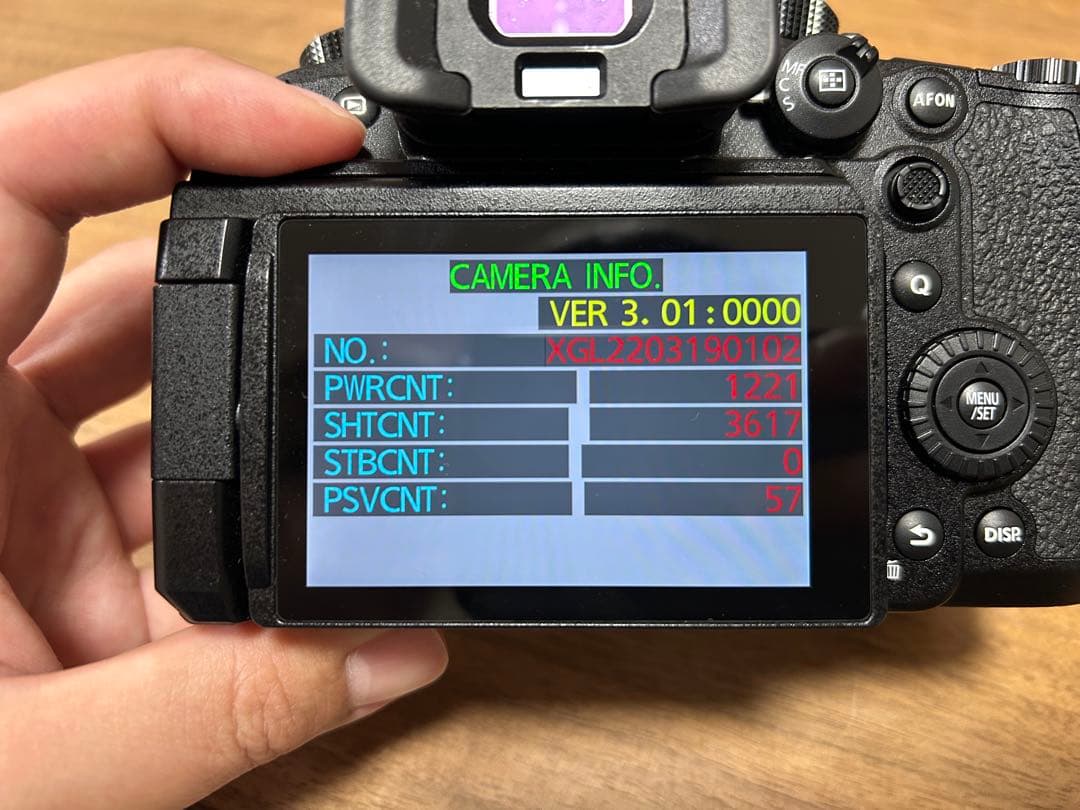 LUMIX GH6 ミラーレスカメラ 本体 (予備バッテリー1個付き)