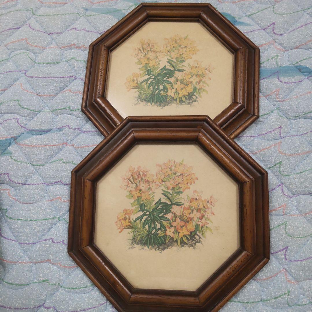 値下げ　ボタニカルアート 　六角フレーム 7点セット！ イタリア製