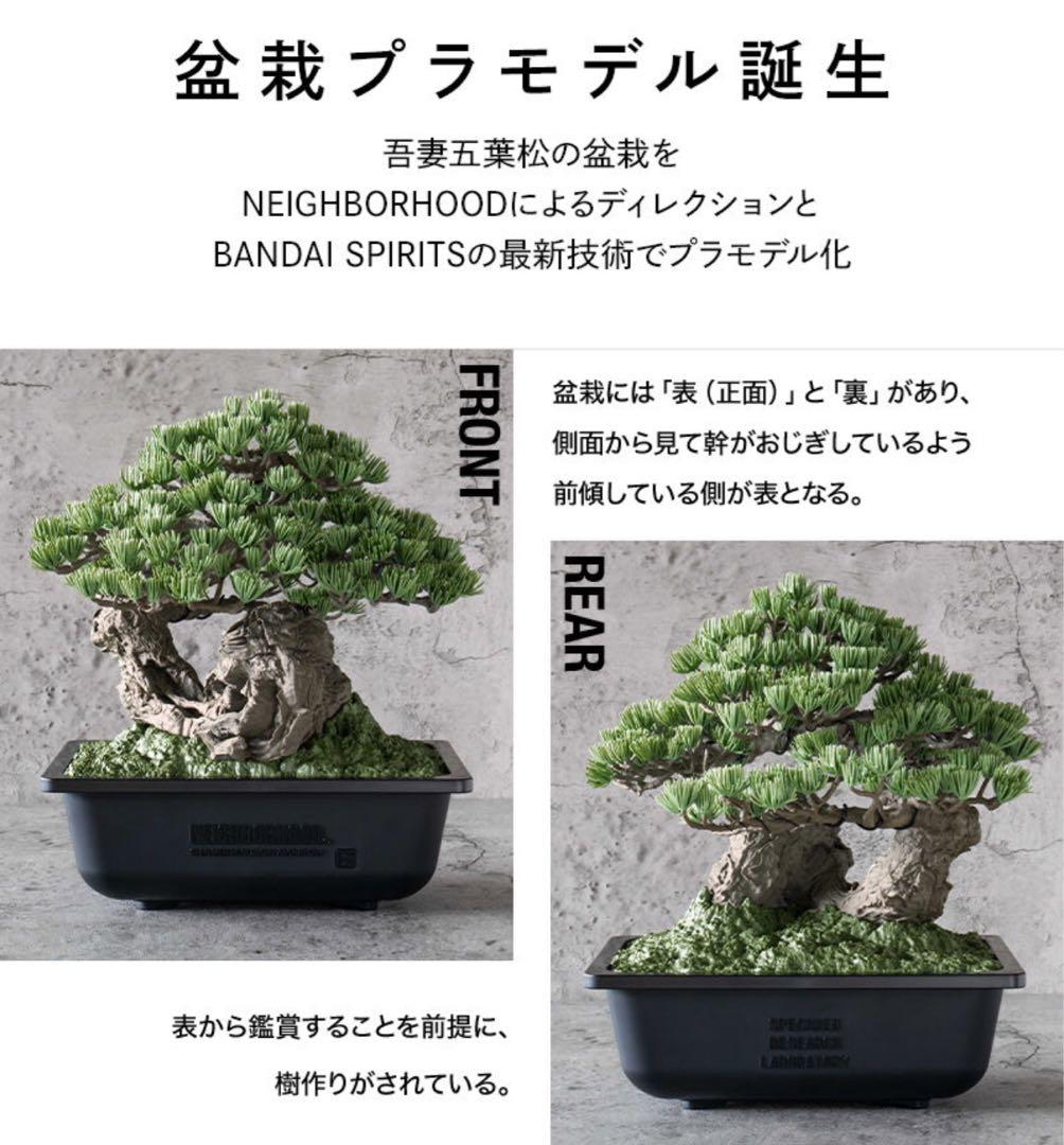 NEIGHBORHOOD盆栽ネイバーフッドWTAPS tradmans