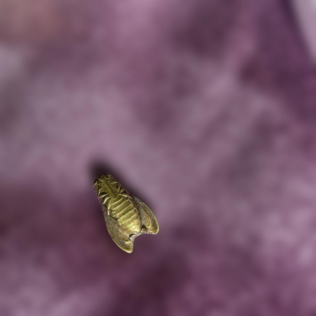 金色 セミ型装飾品　　根付　緒締　骨董　古道具　時代