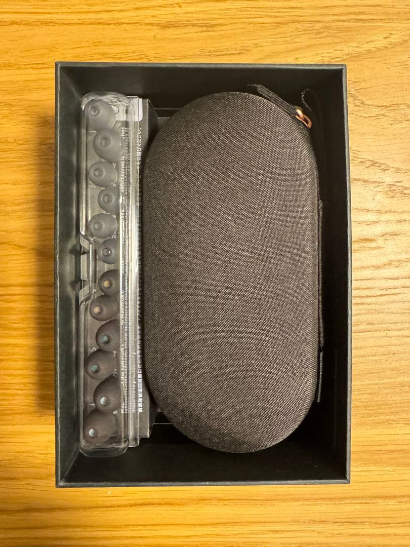 Sony WI-1000XM2 首掛け　イヤホン