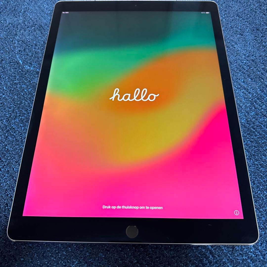 み*や様 【中古品】iPadpro(12.9インチ)(第2世代)256GB スペ