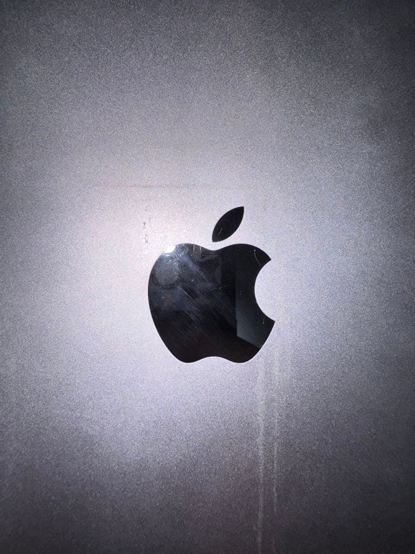 み*や様 【中古品】iPadpro(12.9インチ)(第2世代)256GB スペ