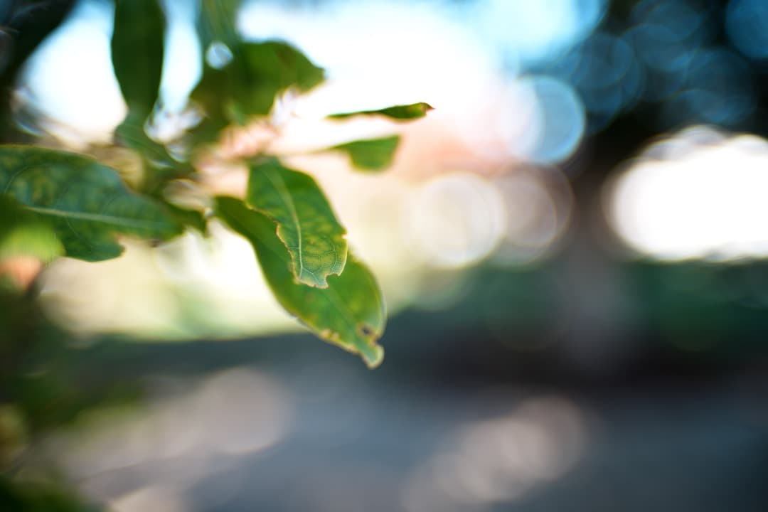 希少 Ai改 ニコン Nikkor-N C Auto 35mm F1.4 131