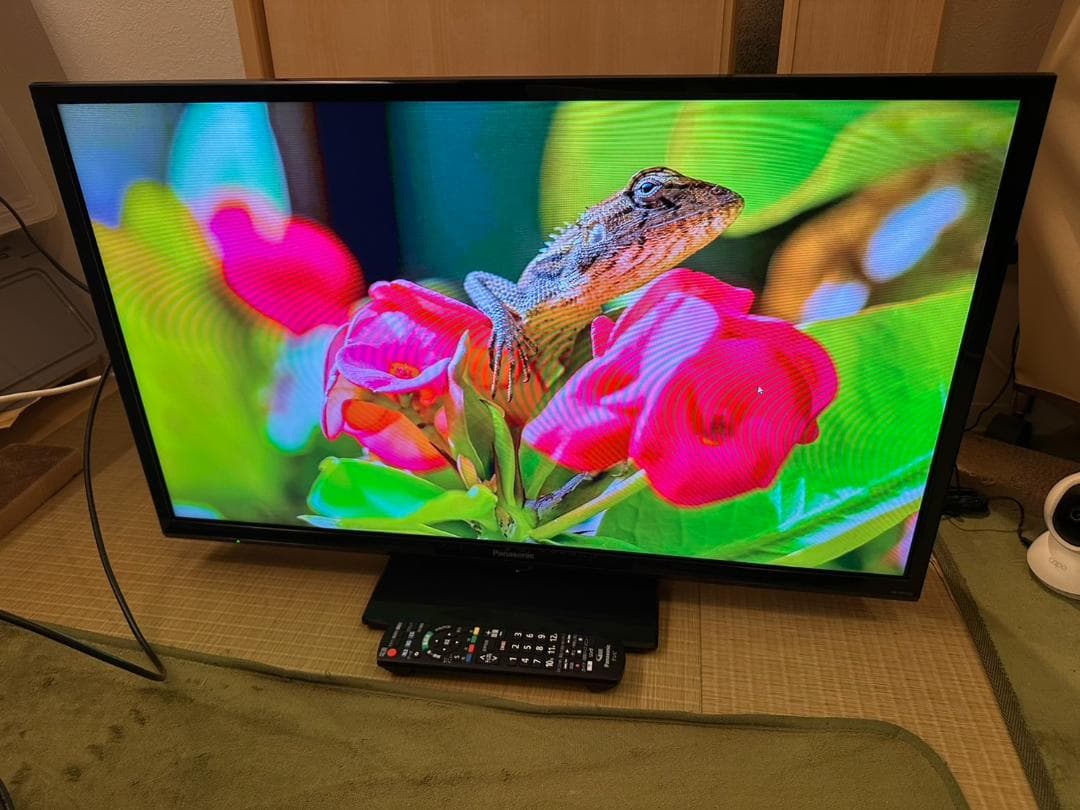 Panasonic　パナソニック 32型 テレビ TH-32G300 映り綺麗！