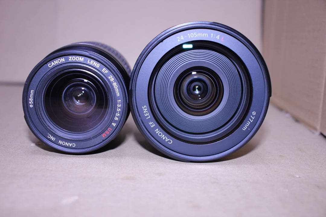 Canon EOS 5D mark III標準&望遠ダブルレンズセット