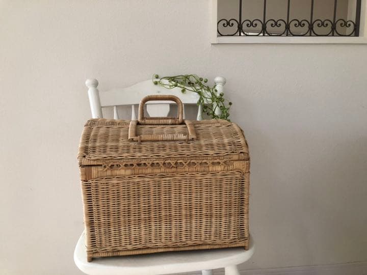 アンティーク　かご　バスケット　ワンちゃんねこちゃんにも