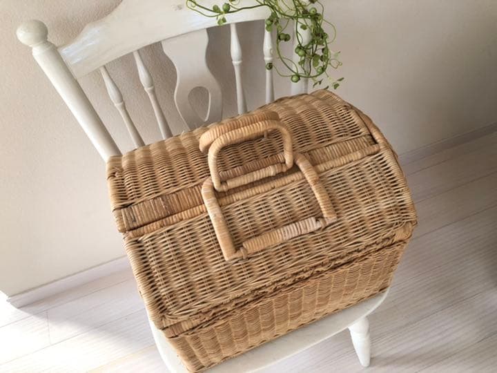 アンティーク　かご　バスケット　ワンちゃんねこちゃんにも