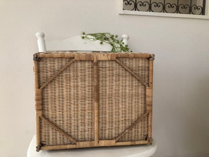 アンティーク　かご　バスケット　ワンちゃんねこちゃんにも
