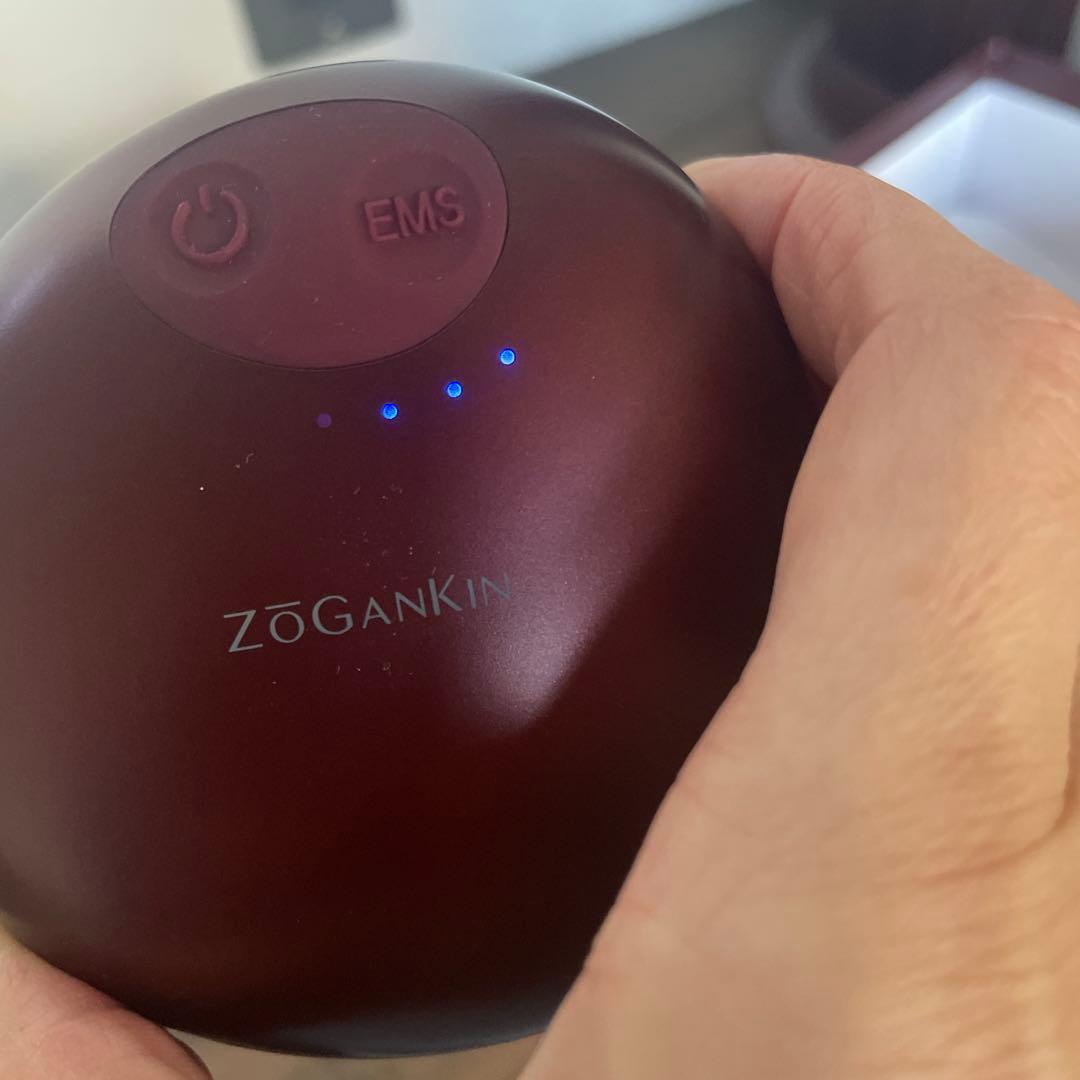 ZOGANKIN ゾーガンキンスカルプ