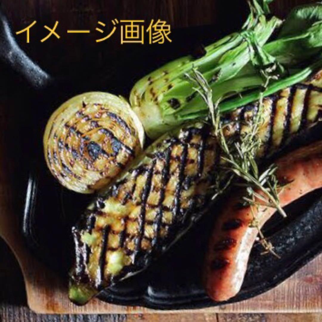 ★URIKARI★新品 未使用] ル・クルーゼ スクエア パニーニプレス