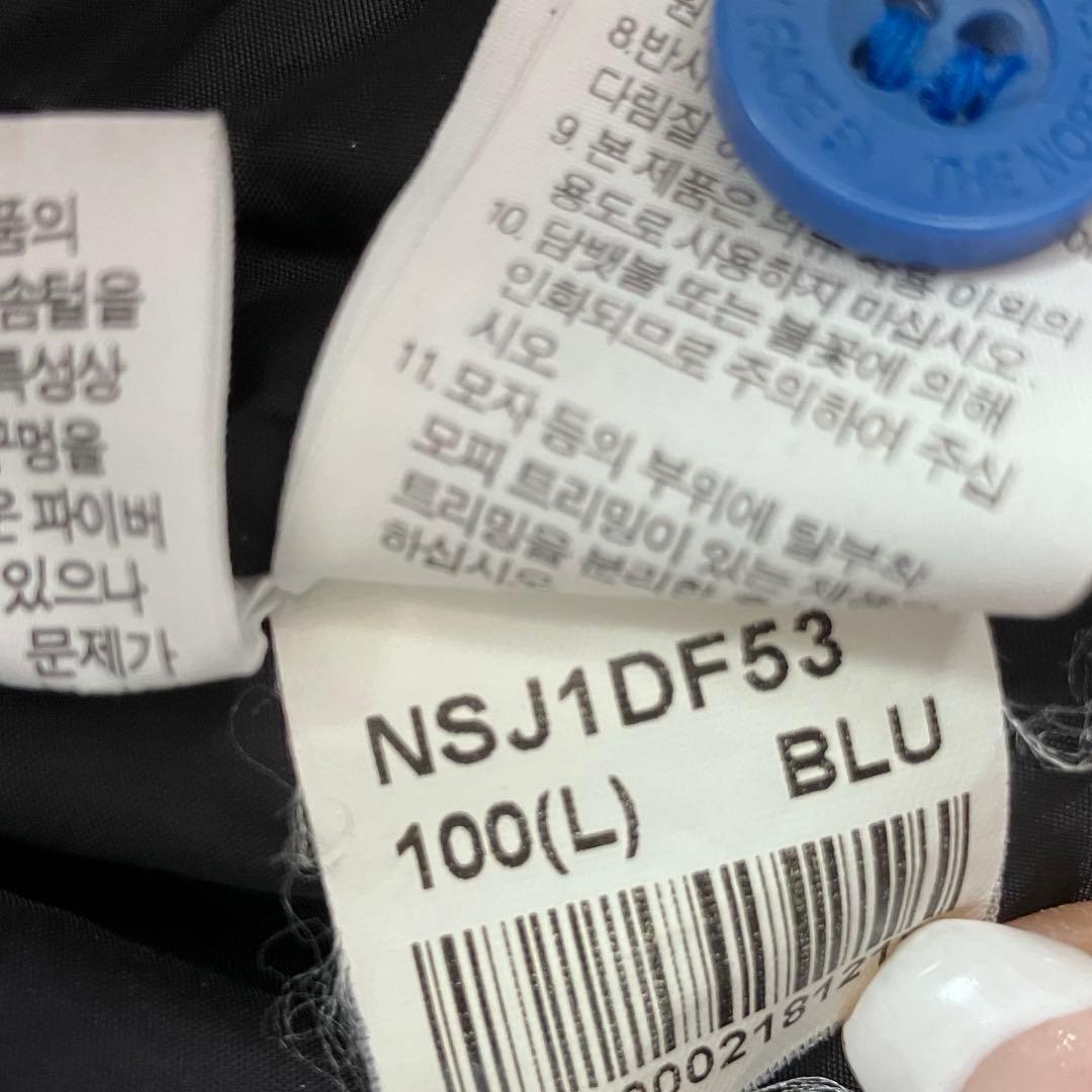 THE NORTH FACE 100 L ダウン マウンテンパーカー