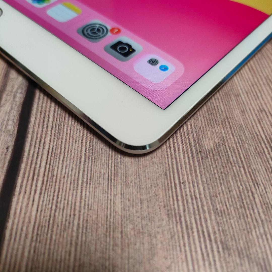 iPad Pro 10.5インチ 256GB シルバー 美品