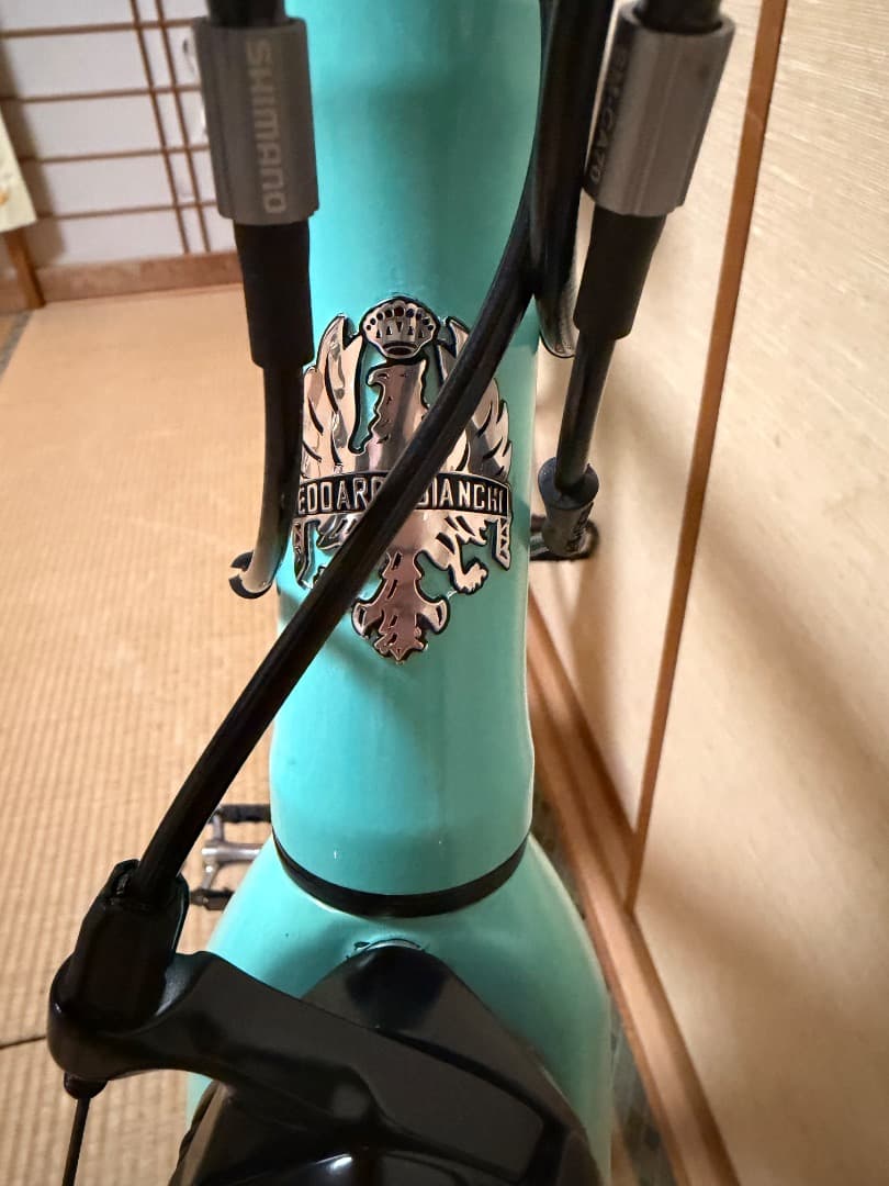最終値下げ　早期販売したいです　Bianchi BERGAMO フレーム50cm