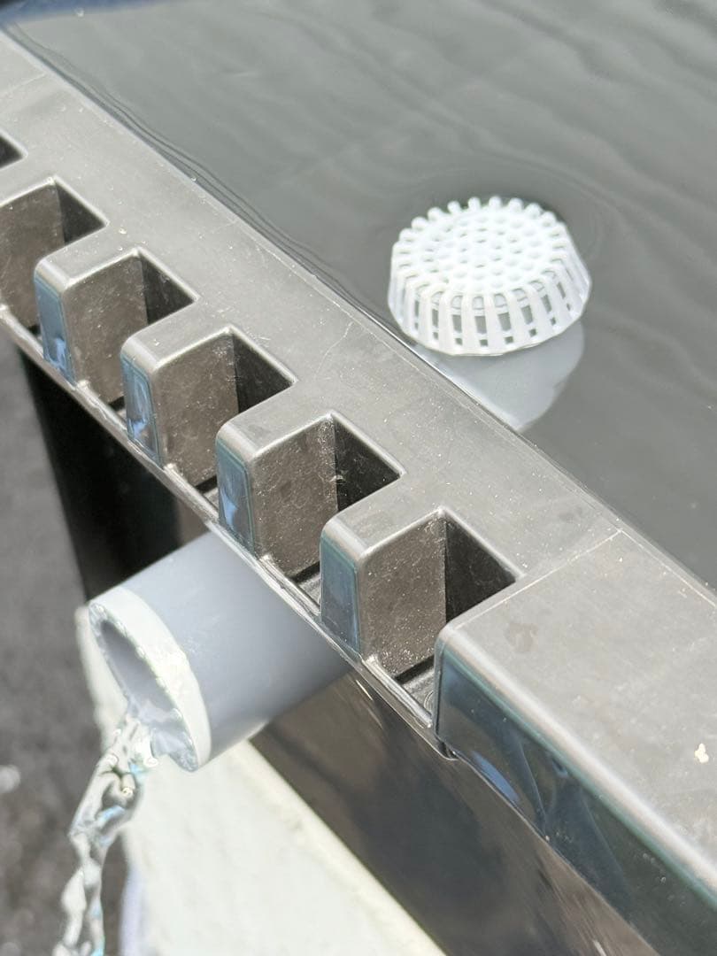 ★お買い得★たらい36L(5個)メダカ飼育容器オーバーフロー トロ舟プラ舟めだか