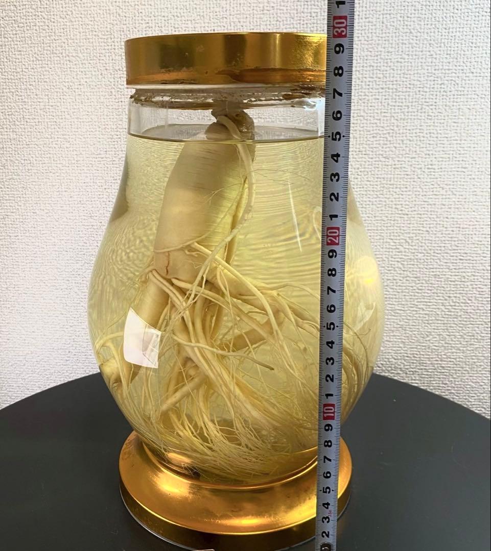 高麗人参　約40年物　古酒　ビンテージ　ガラス瓶　金色　富士商事　健康酒