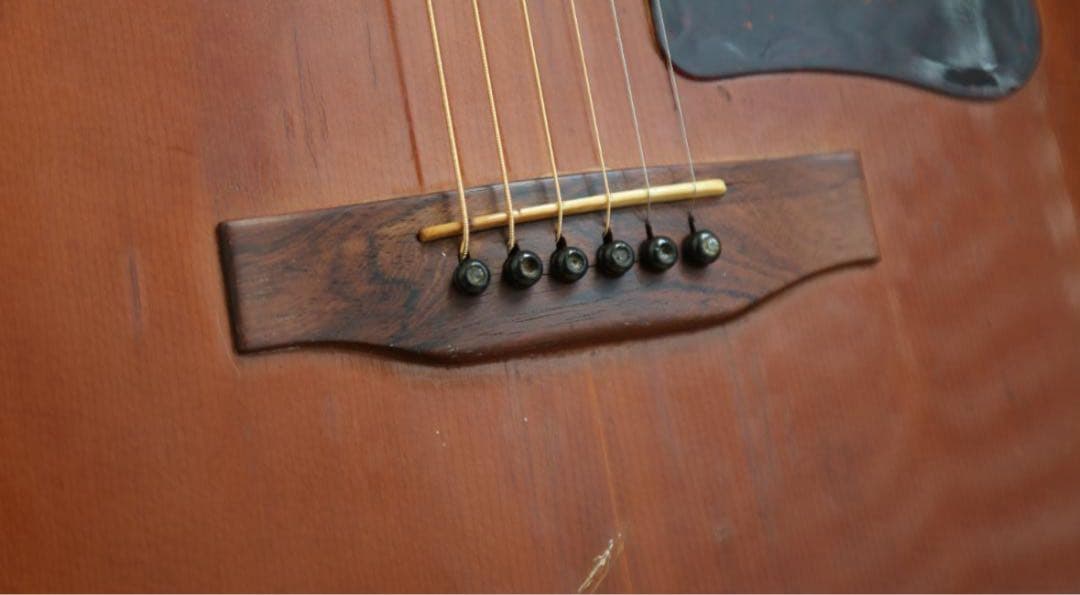 GibsonJ-55 1976年製 ハードケース付き