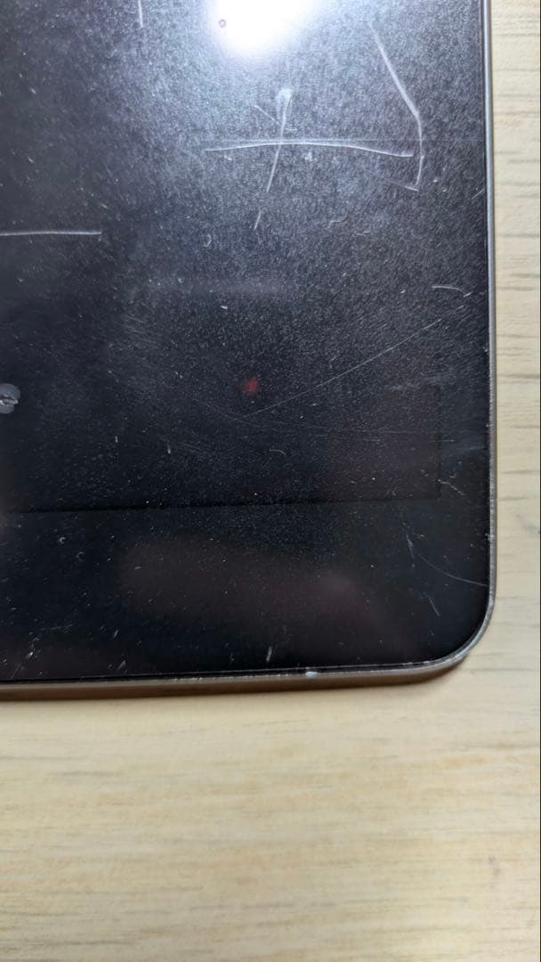 iPad mini 第5世代 256GB（Cellularモデル）SIMフリー