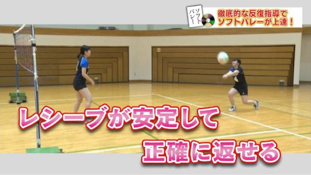 ソフトバレーボール上達革命 Disc 1 .2