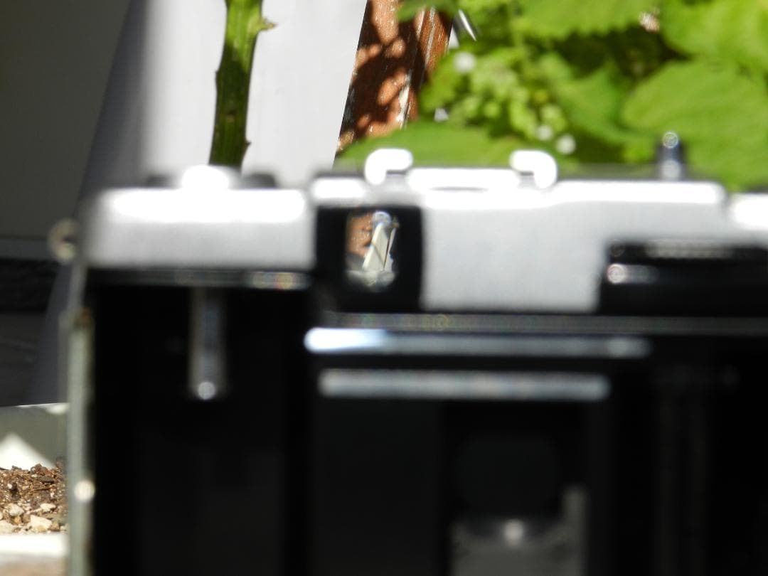 美品　OLYMPUS PEN EE-2 ハーフフィルムカメラ　即撮影可