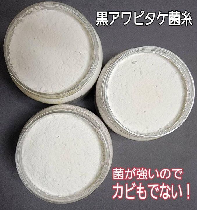 極上！黒アワビタケ菌糸瓶【7本】初令、2令に最適なサイズ！ニジイロクワガタに！