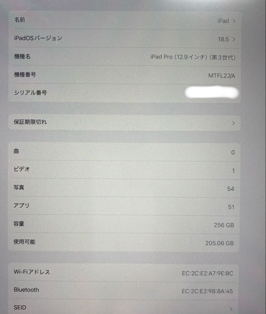 iPad Pro 12.9インチ 第3世代 256GB おまけ付