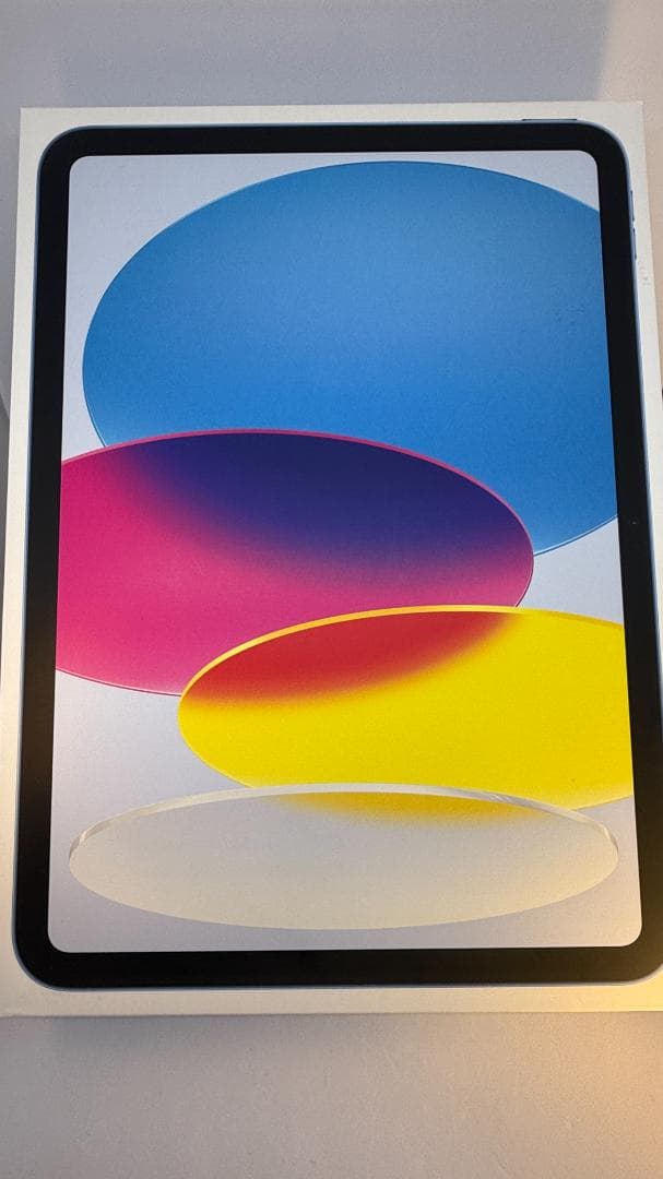 第10 iPad Wi-Fi 256GB ブルー ANA刻印 SFC