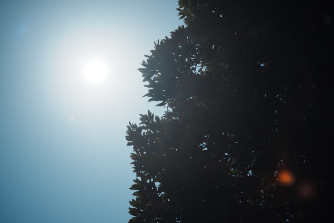 【バブルボケ】動作◎ FUJINON 55mm F2.2 後期 M42 739