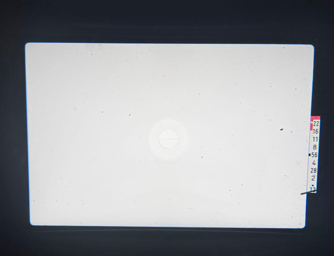 【完動品】Canon AE-1 + FD 50mm F1.4 S.S.C.