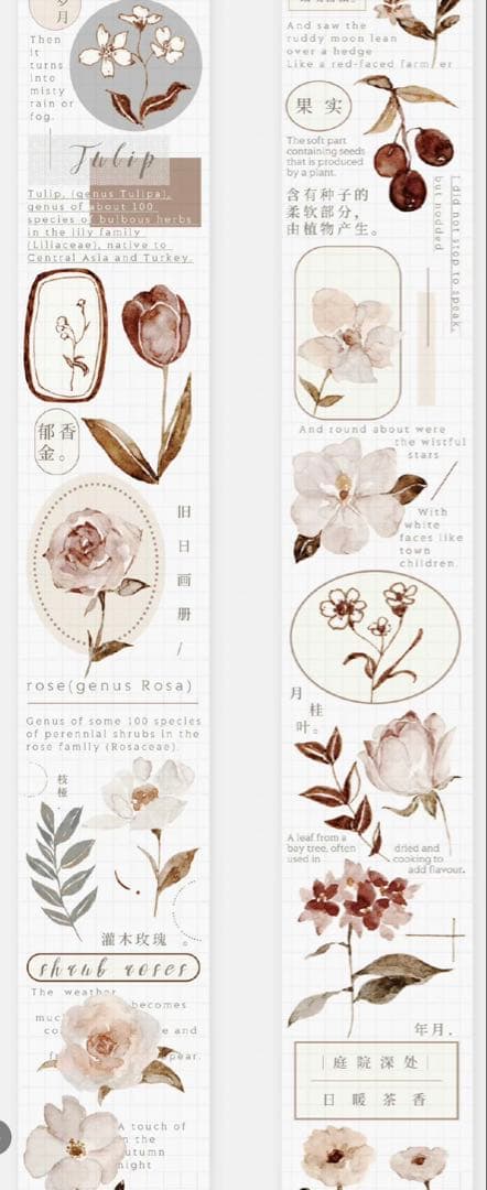 《最終値下げ》海外 マスキングテープ　雀斑茶 6点⚠️pet（33.324